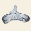 Whale Bracelet